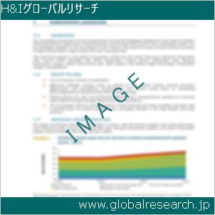 グローバルリサーチ調査レポートのイメージ
